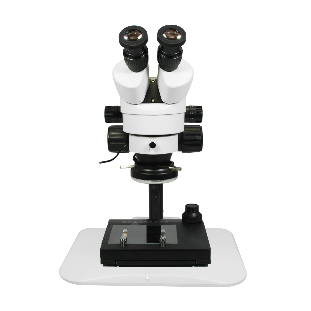 Stereo Microscope